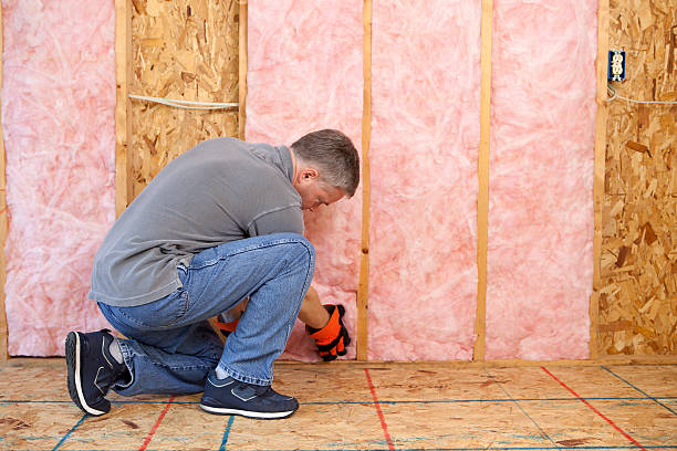 Best Insulation Maintenance and Repair in Oasis, CA