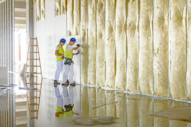 Best Eco-Friendly Insulation in Oasis, CA